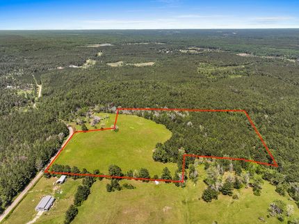 Undeveloped Land in Polk County, Texas