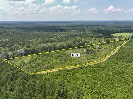 Undeveloped Land for sale in Sabine County, Texas