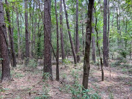 Land for sale in Polk County, Texas