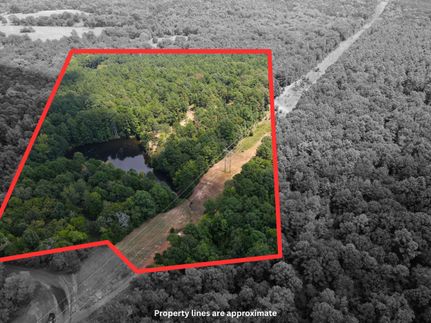Undeveloped Land in Morris County, Texas