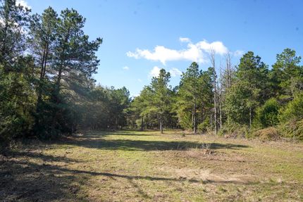 Land for sale in Catahoula Parish, Louisiana