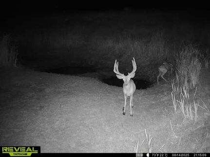 Commercial Property for sale in Moffat County, Colorado