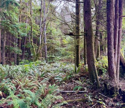 Land for sale in Grays Harbor County, Washington