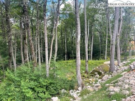 Land for sale in Avery County, North Carolina