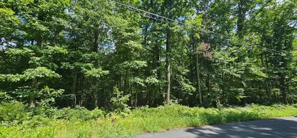 Land for sale in Sullivan County, New York