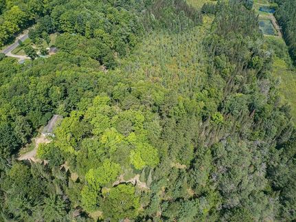 Land for sale in Vilas County, Wisconsin