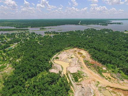 Undeveloped Land for sale in Polk County, Texas