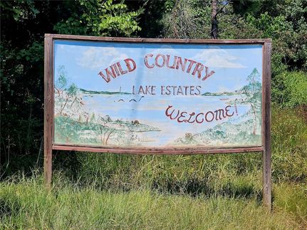 Land for sale in Polk County, Texas