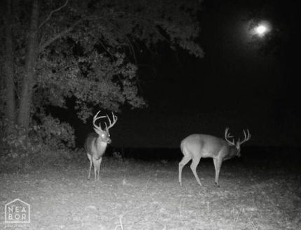 Land for sale in Craighead County, Arkansas