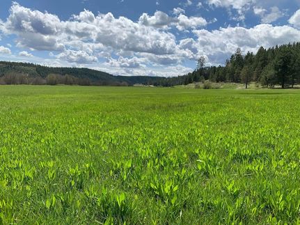 Land for sale in Stevens County, Washington