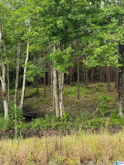 Land for sale in Talladega County, Alabama