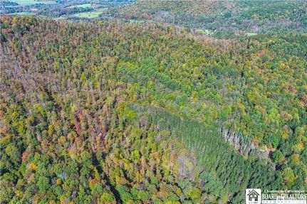 Land for sale in Allegany County, New York