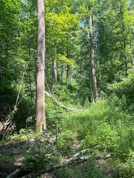 Land for sale in Magoffin County, Kentucky