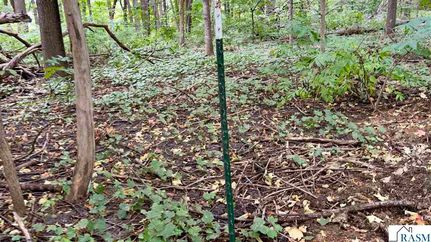 Undeveloped Land for sale in Le Sueur County, Minnesota