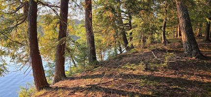 Land for sale in Vilas County, Wisconsin