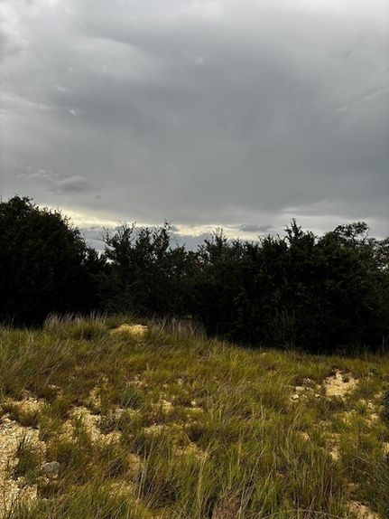 Undeveloped Land for sale in Blanco County, Texas
