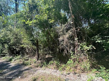 Land for sale in Jackson County, Mississippi