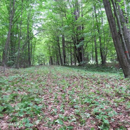 Land for sale in Saratoga County, New York