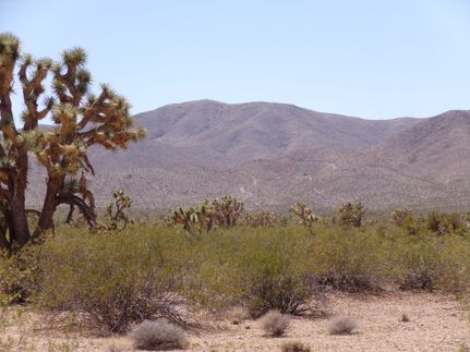 Undeveloped Land for sale in Mohave County, Arizona