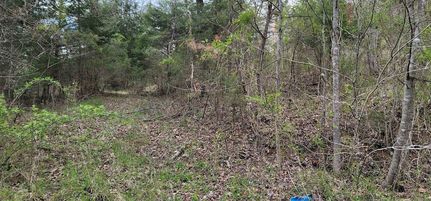 Land for sale in Greenup County, Kentucky