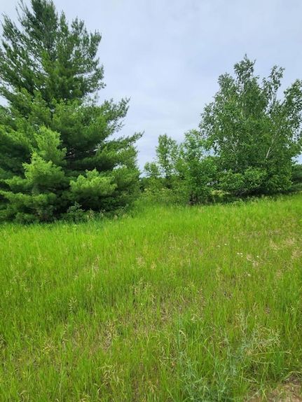 Land for sale in Todd County, Minnesota