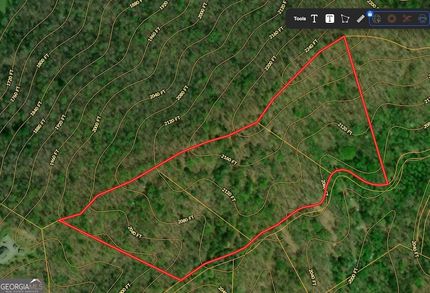 Undeveloped Land for sale in Fannin County, Georgia