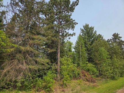 Undeveloped Land for sale in Beltrami County, Minnesota