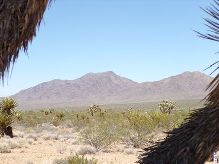 Land for sale in Mohave County, Arizona