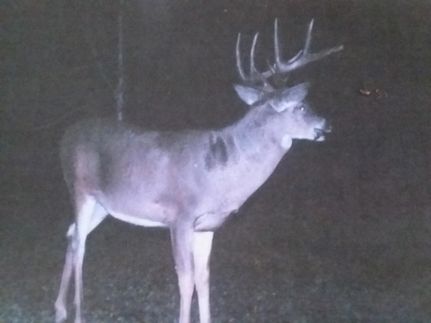 Land for sale in Kanabec County, Minnesota