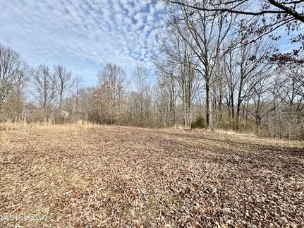 Homesite for sale in Tate County, Mississippi