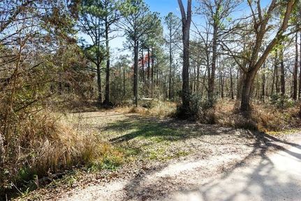 Undeveloped Land for sale in Mobile County, Alabama