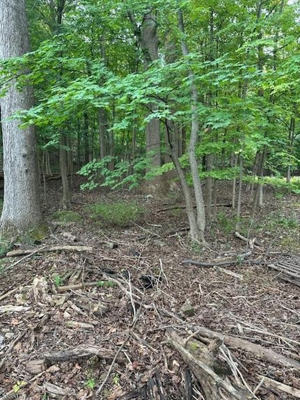 Land for sale in Morris County, New Jersey