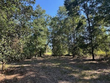 Farm and Ranch for sale in Mobile County, Alabama