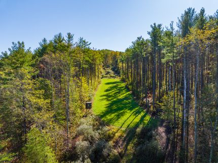 Undeveloped Land for sale in Harrison County, Ohio