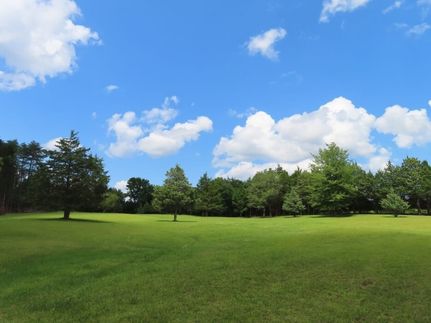 Undeveloped Land in Fairfield County, South Carolina