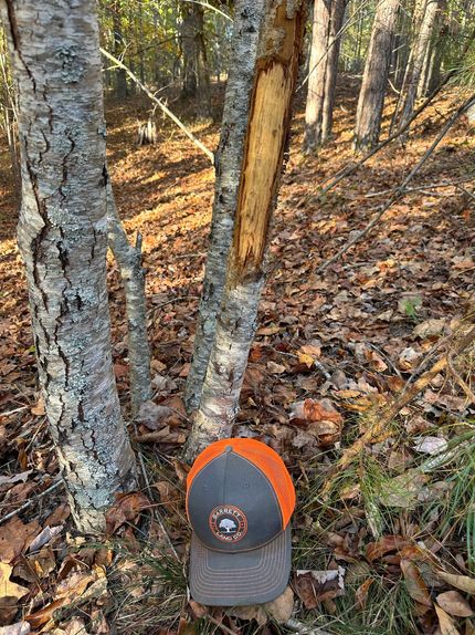 Farm and Ranch for sale in Polk County, Georgia