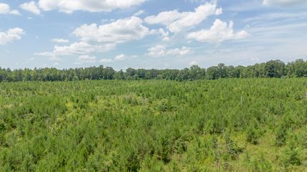 Undeveloped Land for sale in Decatur County, Tennessee