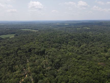 Timberland Property in Johnson County, Illinois