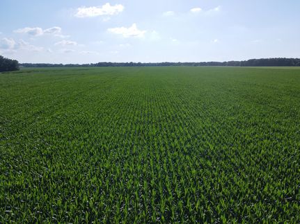 Land for sale in Cumberland County, Illinois