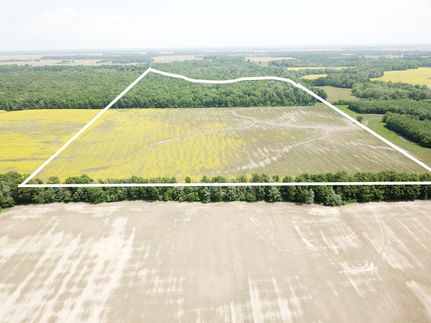 Timberland Property for sale in Wayne County, Illinois