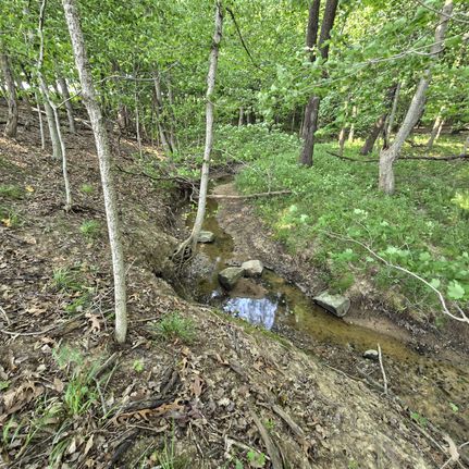 Farm and Ranch in Marion County, Illinois
