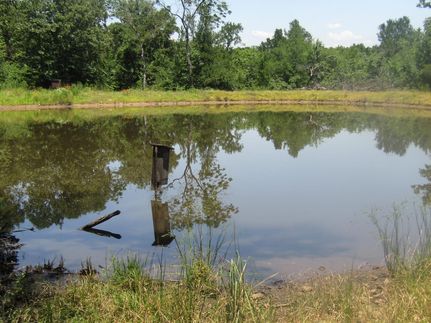 Undeveloped Land for sale in McCurtain County, Oklahoma