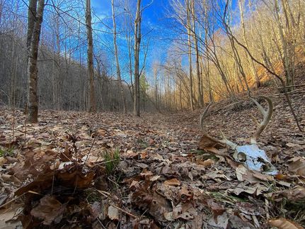 Land for sale in Vinton County, Ohio