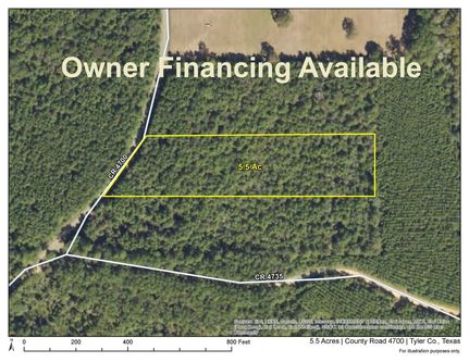 Undeveloped Land in Tyler County, Texas