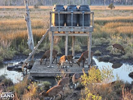 Land for sale in Dorchester County, Maryland