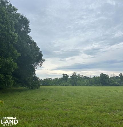 Homesite in Tangipahoa Parish, Louisiana