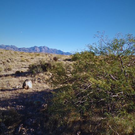 Land for sale in Mohave County, Arizona