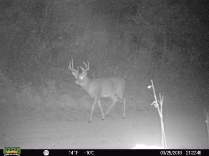 Riverfront Property in Macon County, Missouri