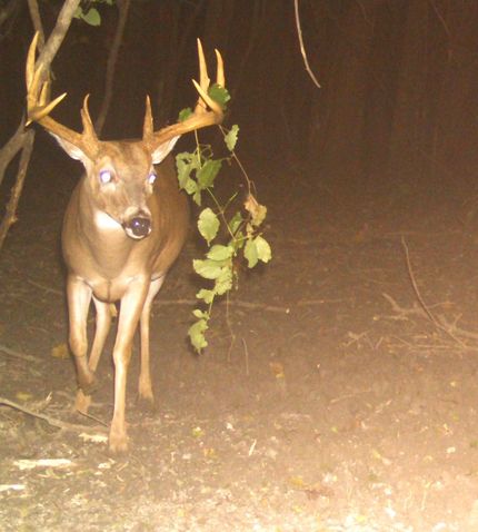 Recreational Property in East Carroll Parish, Louisiana