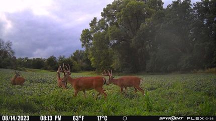 Recreational Property in Guthrie County, Iowa